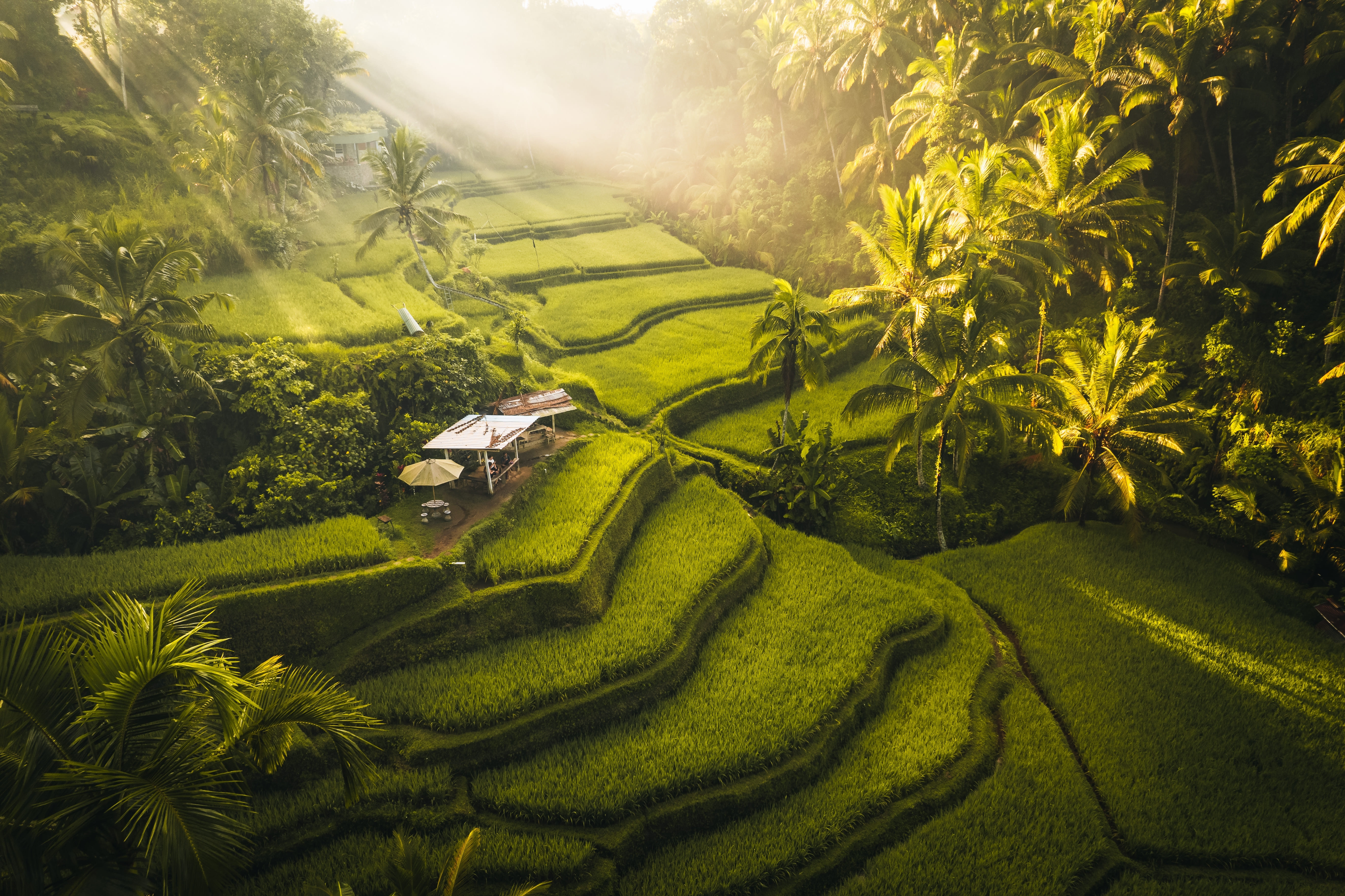 Bali cityscape